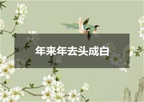 年来年去头成白