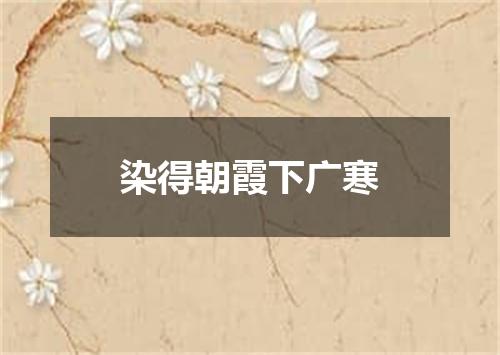 染得朝霞下广寒