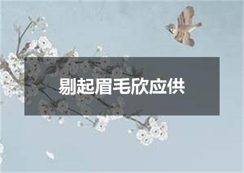 剔起眉毛欣应供