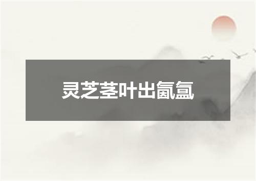 灵芝茎叶出氤氲