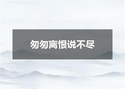 匆匆离恨说不尽