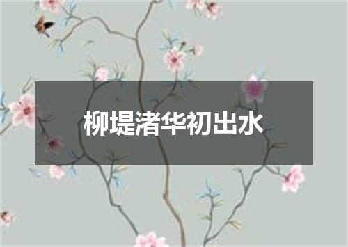 柳堤渚华初出水
