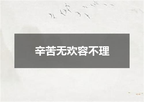 辛苦无欢容不理