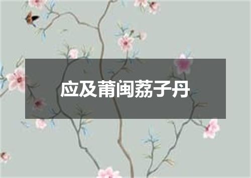 应及莆闽荔子丹