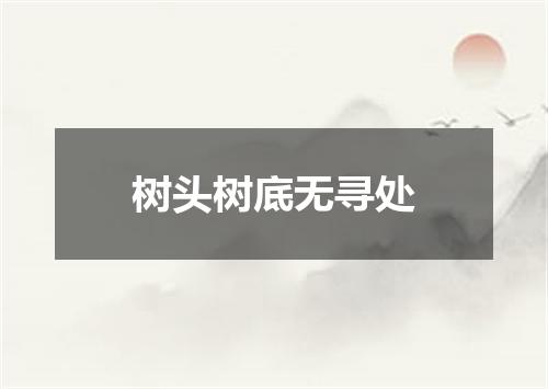 树头树底无寻处