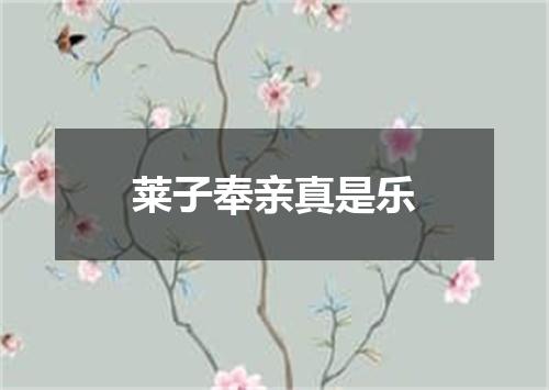 莱子奉亲真是乐
