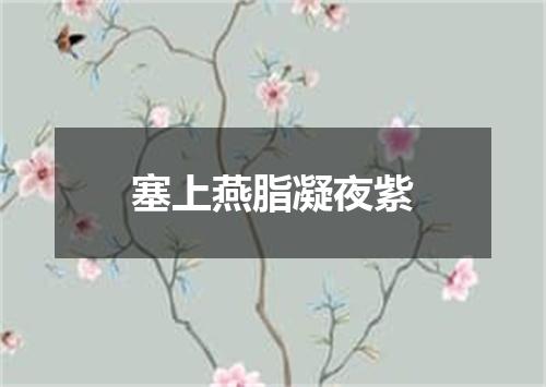 塞上燕脂凝夜紫
