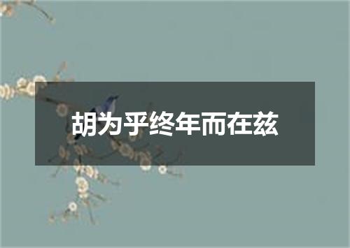 胡为乎终年而在兹
