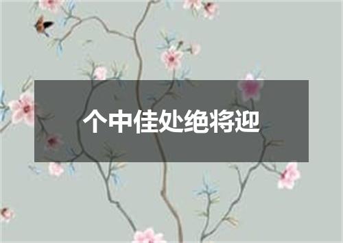 个中佳处绝将迎