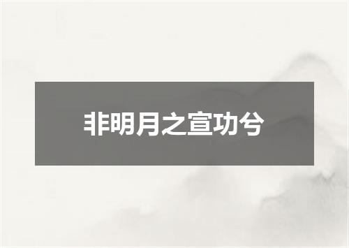 非明月之宣功兮