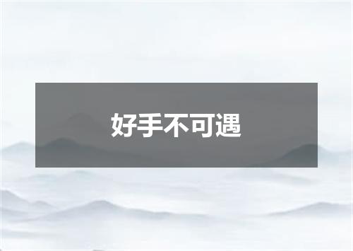 好手不可遇
