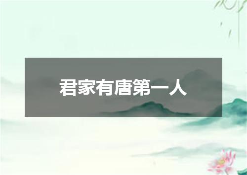 君家有唐第一人