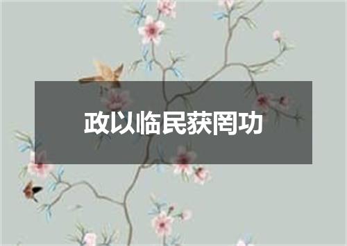 政以临民获罔功