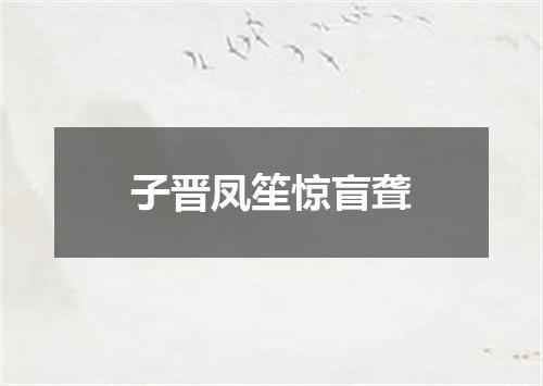 子晋凤笙惊盲聋