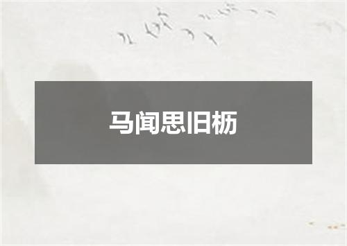 马闻思旧枥