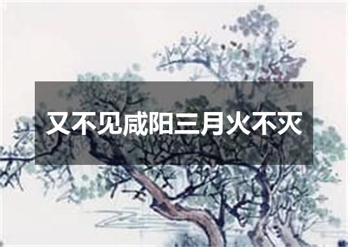 又不见咸阳三月火不灭