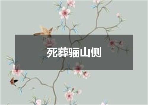 死葬骊山侧