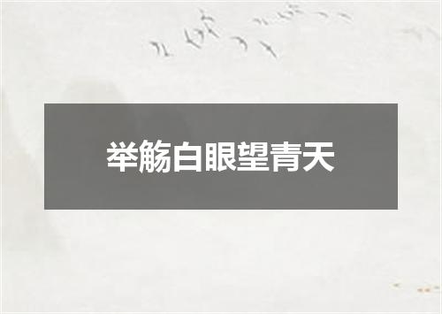 举觞白眼望青天