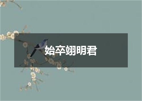 始卒翊明君