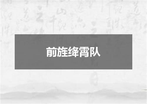 前旌绛霄队