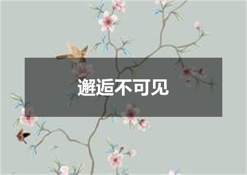 邂逅不可见