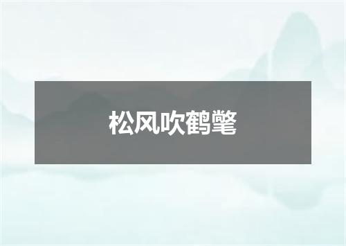 松风吹鹤氅