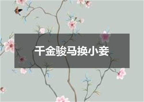 千金骏马换小妾