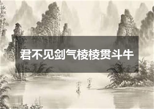 君不见剑气棱棱贯斗牛
