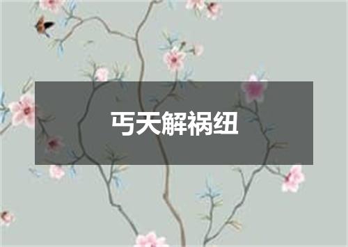 丐天解祸纽