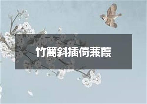 竹篱斜插倚蒹葭