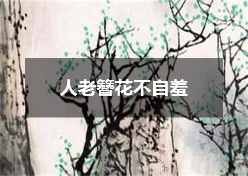 人老簪花不自羞