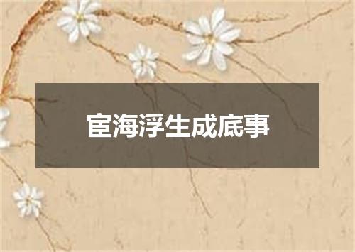宦海浮生成底事
