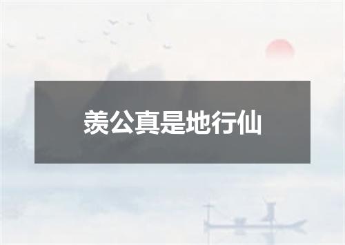 羡公真是地行仙