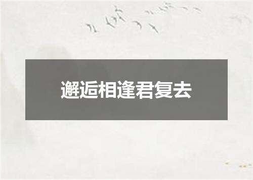 邂逅相逢君复去