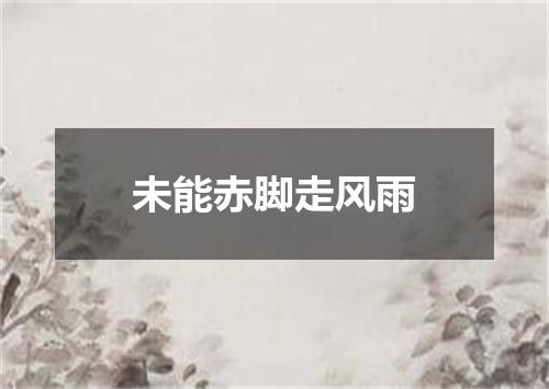 未能赤脚走风雨