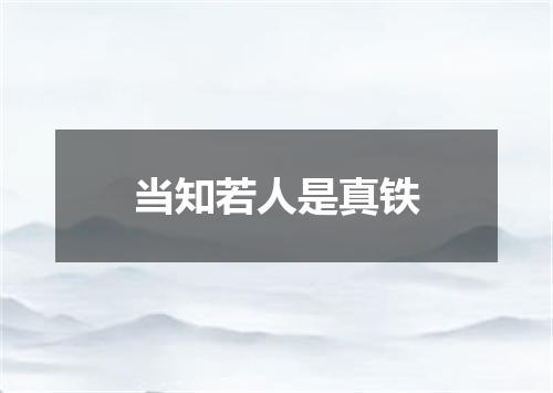 当知若人是真铁