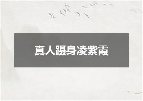 真人蹑身凌紫霞