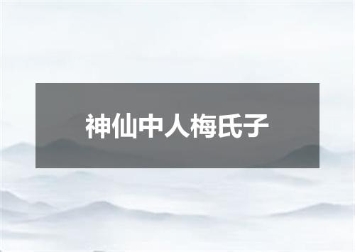 神仙中人梅氏子
