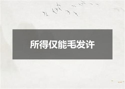 所得仅能毛发许