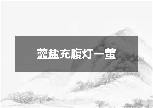 虀盐充腹灯一萤