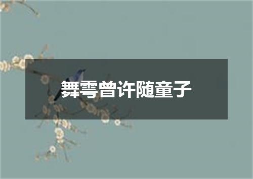 舞雩曾许随童子
