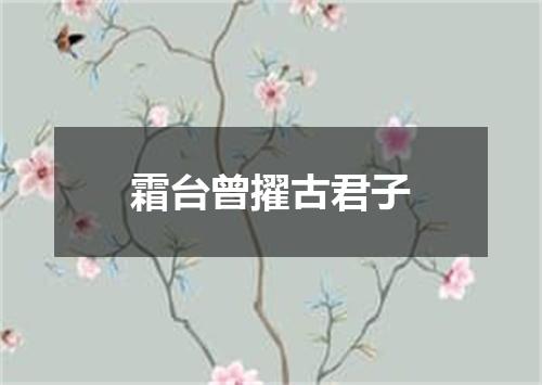 霜台曾擢古君子