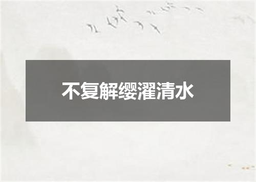 不复解缨濯清水