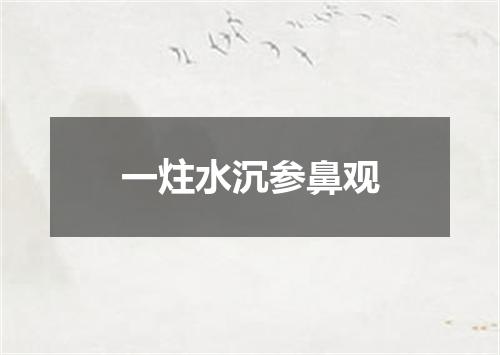 一炷水沉参鼻观