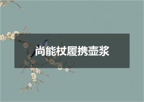 尚能杖履携壶浆