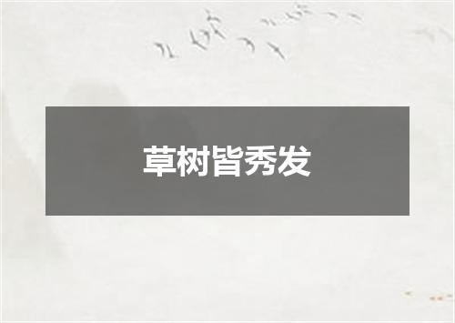 草树皆秀发