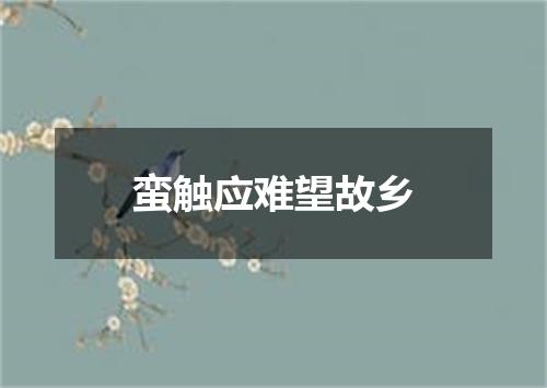 蛮触应难望故乡