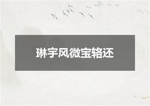 琳宇风微宝辂还
