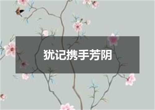 犹记携手芳阴