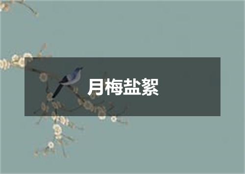 月梅盐絮